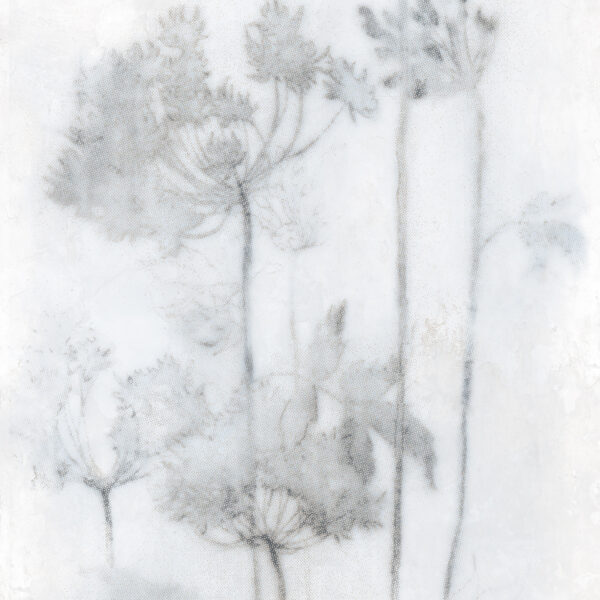 Großformatfliese Mirage Papier Espoir Froid 120x278cm 6 mm