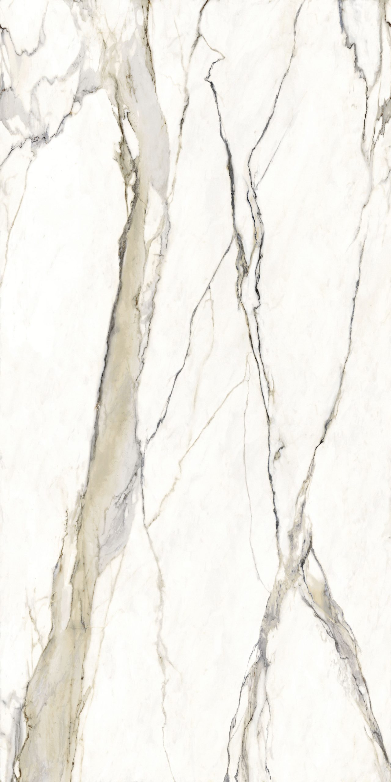 Großformatfliese Franko Calacatta Golden 160x320cm 6 mm
