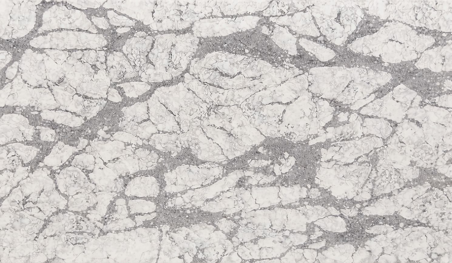 Konglomerate F-Quartz Dolomites für die Arbeitsplatte