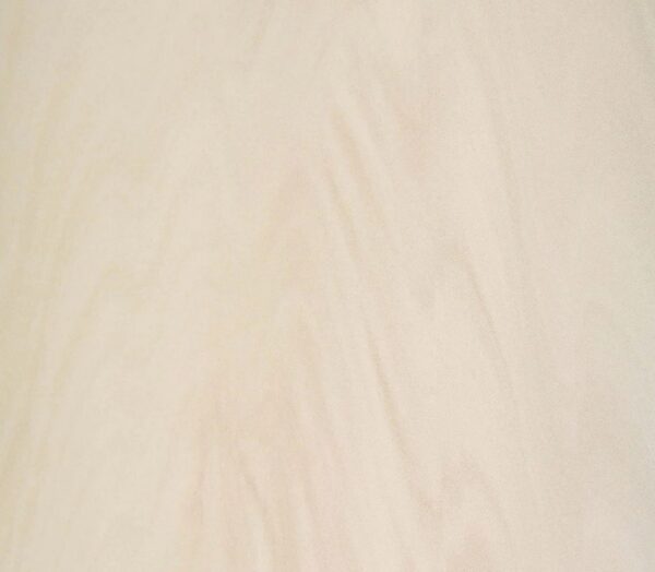 Neolith Arena